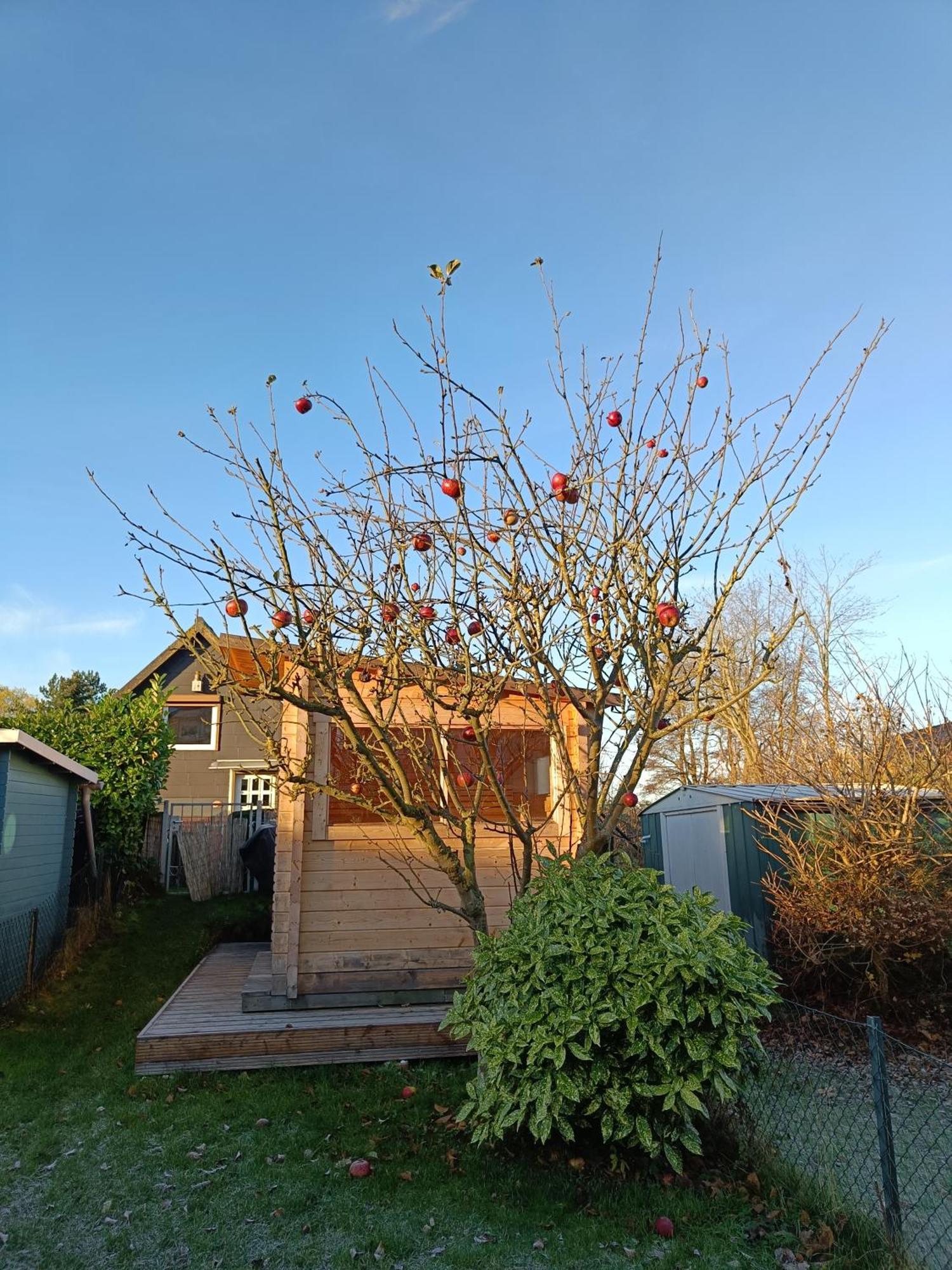 Beachhouse Mit Privater Sauna Und Kamin, 700M Zum Strand Schonberger Strand Exterior foto